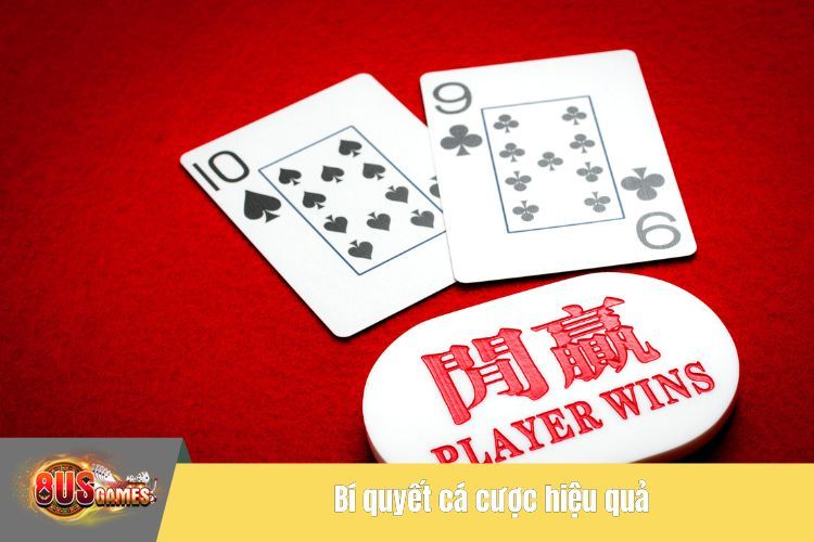 Bí quyết cá cược hiệu quả