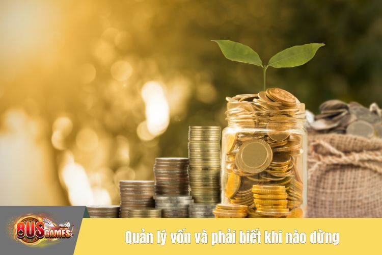 Quản lý vốn và phải biết khi nào dừng