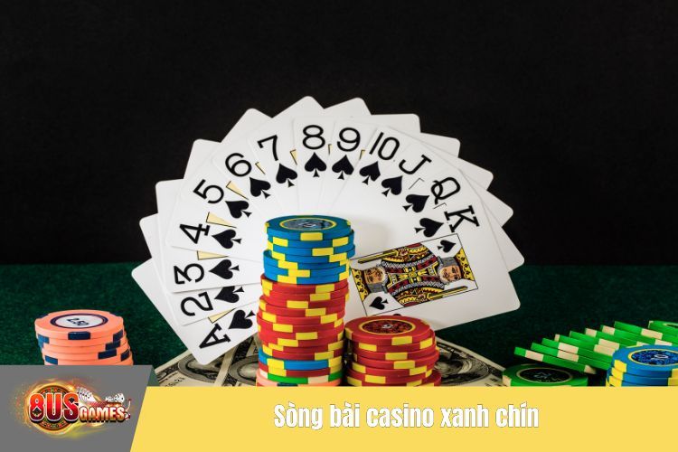 Sòng bài casino xanh chín