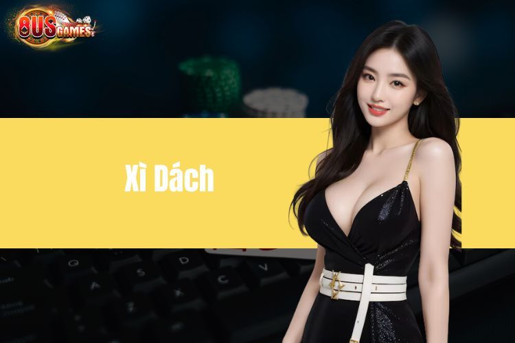 Xì dách - Luật chơi chi tiết cho người mới nhập môn